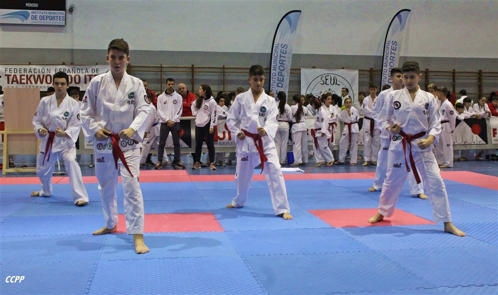 Copa Seul 2018 (269).jpg